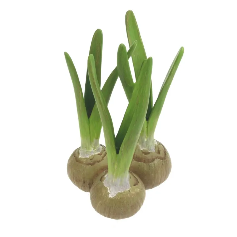 vaasje met 3 bloembollen